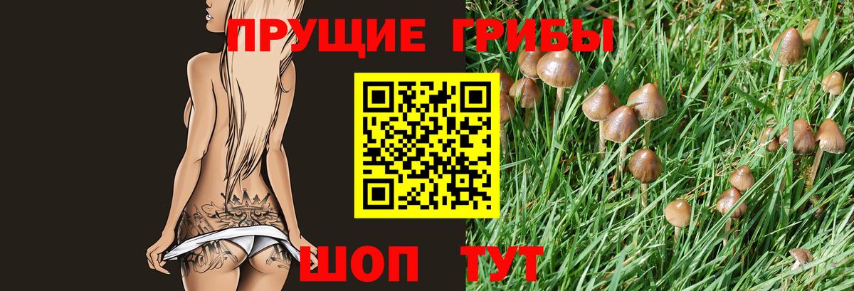 Галлюциногенные грибы Psilocybine cubensis Кирово-Чепецк