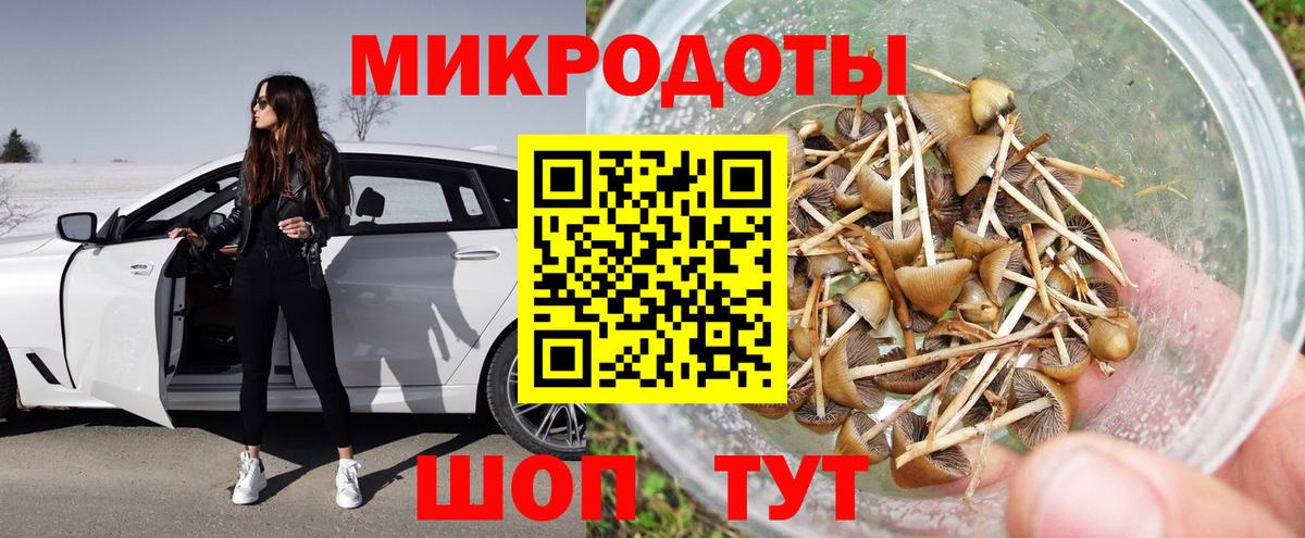 Кирово-Чепецк  Галлюциногенные грибы GOLDEN TEACHER  Вход с VPN 